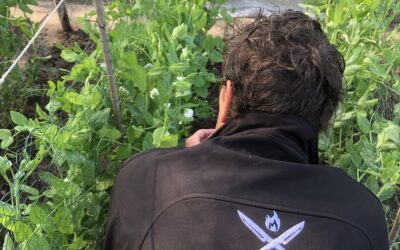 Moois uit eigen tuin!